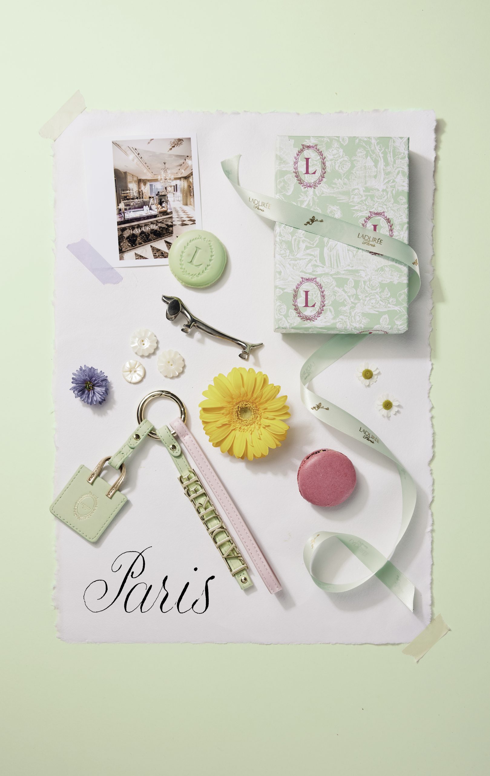 laduree-lesdigitalistes